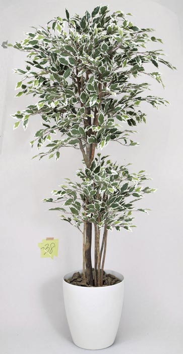 アートグリーン 人工観葉植物 光触媒 光の楽園 トロピカルベンジャミン斑入り1.6 166K480|わくわく生活