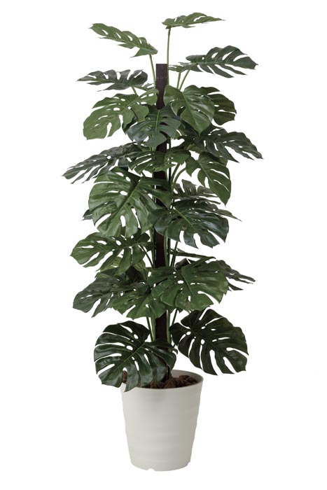 アートグリーン 人工観葉植物 光触媒 光の楽園 モンステラ1.8 403R480｜わくわく生活
