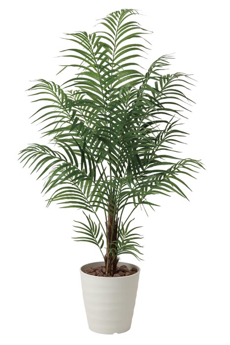 50 Off アートグリーン 人工観葉植物 光触媒 光の楽園 アレカパーム1 5 410g3 年版 代引不可 Visiteastsrilanka Lk