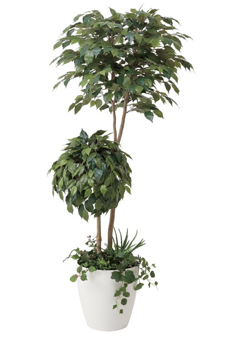 アートグリーン 人工観葉植物 光触媒 光の楽園 ベンジャミンダブルフェイス植栽付1.8 413A500|わくわく生活