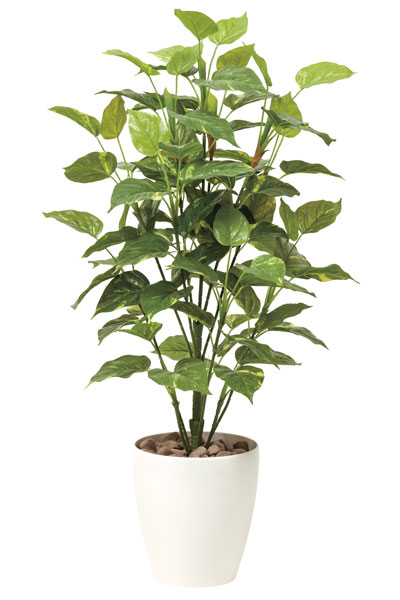アートグリーン 人工観葉植物 光触媒 光の楽園 ポトス1.0 513A150｜わくわく生活