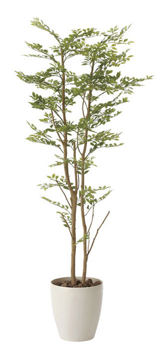 安いそれに目立つ アートグリーン 人工観葉植物 光触媒 光の楽園 ゴールデンリーフ 1 6 605a310 年版 楽天ランキング1位 Www Lexusoman Com