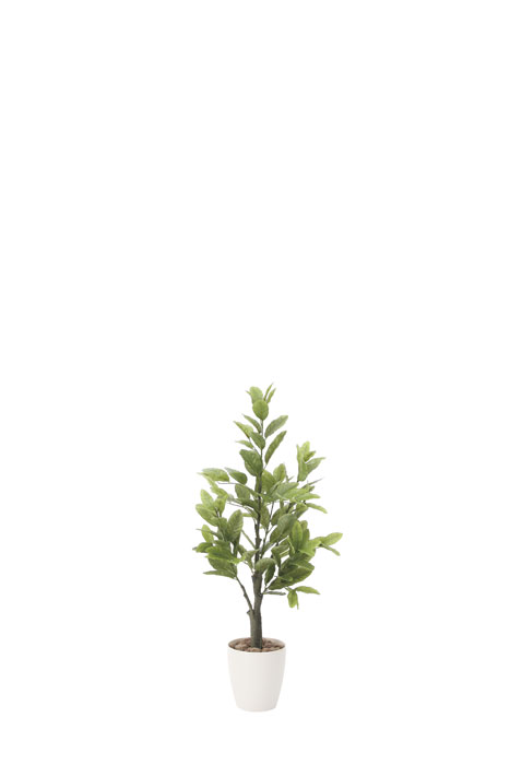 アートグリーン 人工観葉植物 光触媒 光の楽園 レモン1.0 818A150｜わくわく生活