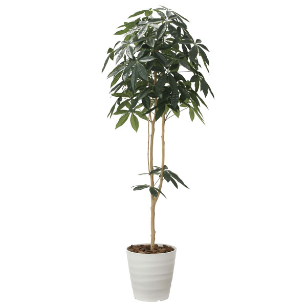 楽天市場】アートグリーン フェイクグリーン 人工観葉植物