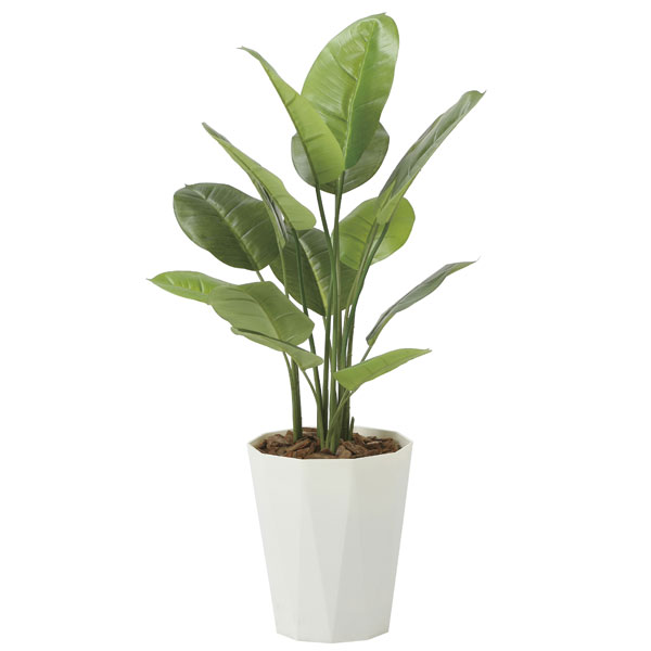 楽天市場】アートグリーン フェイクグリーン 人工観葉植物