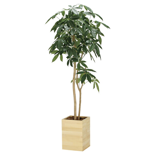 アートグリーン フェイクグリーン 人工観葉植物 光触媒 光の楽園 ウッドボックスパキラ1.6 2309R450|わくわく生活