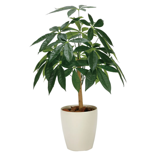 アートグリーン フェイクグリーン 人工観葉植物 光触媒 光の楽園 パキラリーフツリー７２ 2345A100｜わくわく生活