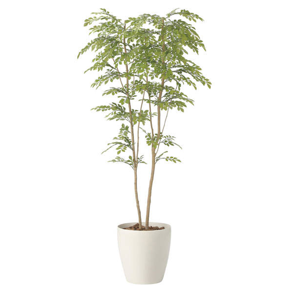 アートグリーン フェイクグリーン 人工観葉植物 光触媒 光の楽園 ライトトネリコ1.8 2413P470 33,605円