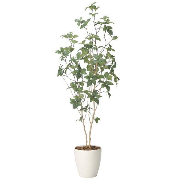アートグリーン フェイクグリーン 人工観葉植物 光触媒 光の楽園 サラサドウダン1.6 2416R300｜わくわく生活