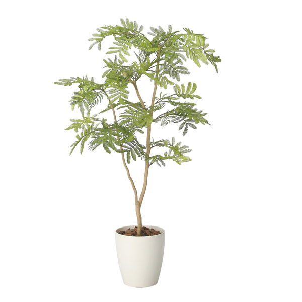 アートグリーン フェイクグリーン 人工観葉植物 光触媒 光の楽園 ねむの木90(ポリ製) 2428A150|わくわく生活