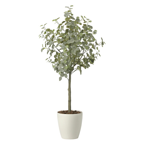 アートグリーン フェイクグリーン 人工観葉植物 光触媒 光の楽園 ユーカリツリー1.85(組立式) 2436A450|わくわく生活
