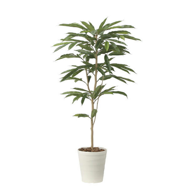 楽天市場】光触媒 光の楽園 アムステルダムキング1.3