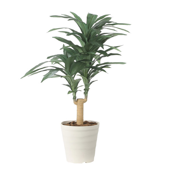 アートグリーン フェイクグリーン 人工観葉植物 光触媒 光の楽園 ドラセナジャネット1.0 2492A150|わくわく生活