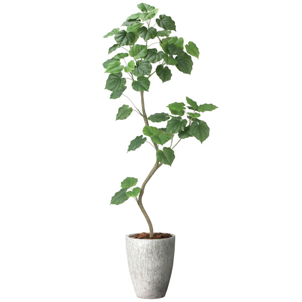 アートグリーン フェイクグリーン 人工観葉植物 光触媒 光の楽園 ナチュラルウンベラータ1.9(組立式) 2499A740|わくわく生活