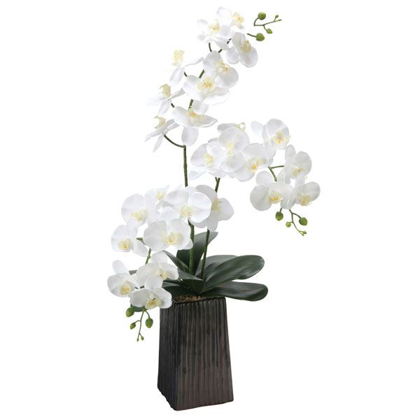 アートフラワー フェイクグリーン 造花 光触媒 光の楽園 デザインフレッシュ胡蝶蘭 2579A200｜わくわく生活
