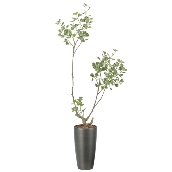 アートグリーン フェイクグリーン 人工観葉植物 光触媒 光の楽園 スリムフィカストアイアングル1.6 2589A400