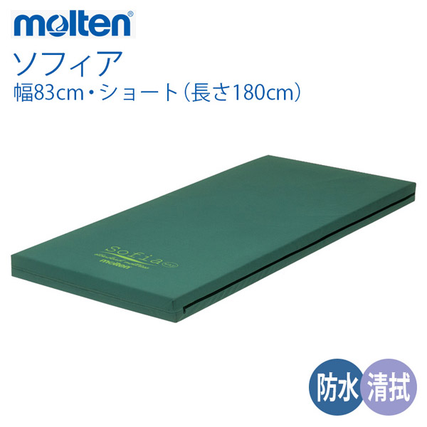 もらって嬉しい出産祝い molten 介護用品