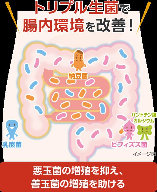 楽天市場】【第3類医薬品】 ザ・ガードコーワ整腸錠α３プラス 350錠 送料無料 定形外郵便：ウェルヘルスドラッグストア