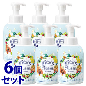 《仕掛ける売りわたす》 ウィルミナ 分野の木ノ実 すっきり泡洗顔 (500mL)×6個仕掛ける 洗顔質問用紙 【貨物輸送無料】 【smtb-s】