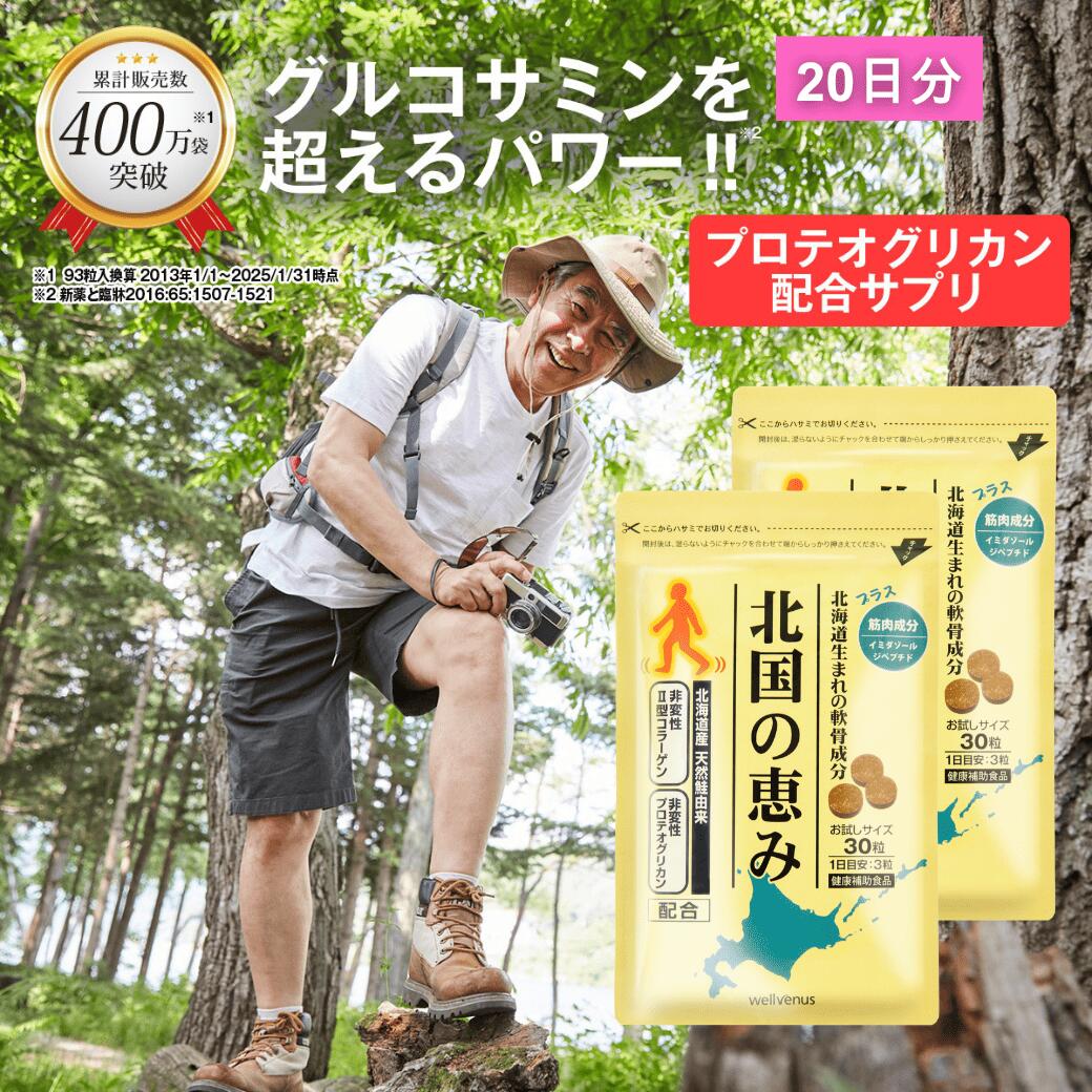 【MAX】 北国の恵み 93粒×9袋 ウェルヴィーナス wellvenus 北国の恵み 93粒 約1ヶ月分 プロテオグリカン サプリ