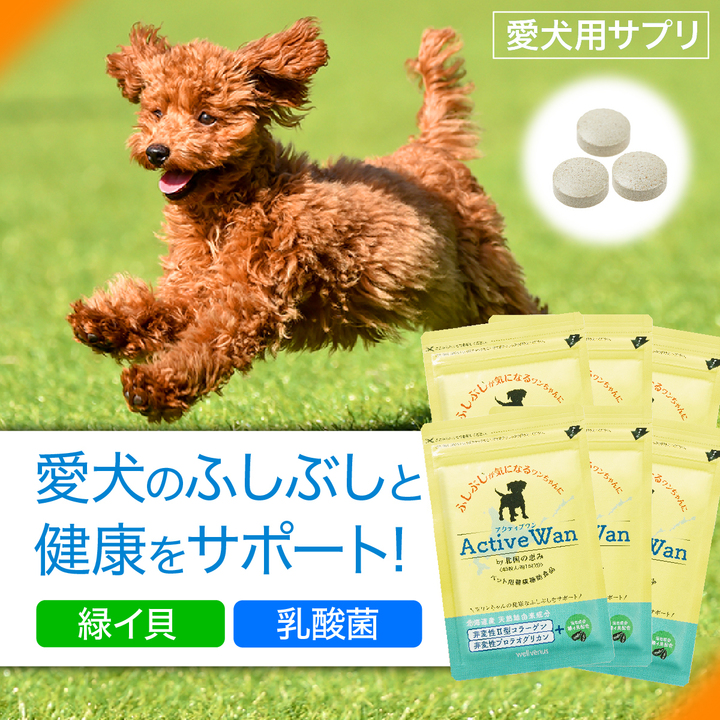 楽天市場 P最大29 5倍 犬用 新軟骨成分配合サプリ アクティブワン 45粒 約15日分 緑イ貝 プロテオグリカン 乳酸菌 2型コラーゲン モリンガ 配合 日本製 ドッグトレーナーと協力開発 サプリと化粧品ウェルヴィーナス