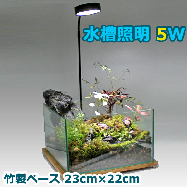 楽天市場 水槽照明 cm 水槽 5w Led 竹製ベース アクアリウムライト 小型 角度調節可能 水草 植物育成 熱帯魚 即日発送 Wellvie Store