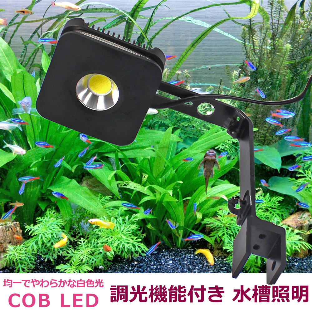 楽天市場 即日発送 水槽照明 調光機能付き 白色 Cob Led 45cm 60cm水槽用 アクアリウムライト 観賞魚 サンゴ 水草 Wellvie Store