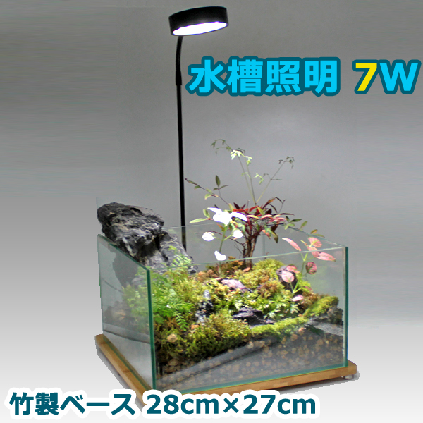 楽天市場 水槽照明 25cm 水槽 7w Led 竹製ベース アクアリウムライト 小型 角度調節可能 水草 植物育成 熱帯魚 即日発送 Wellvie Store