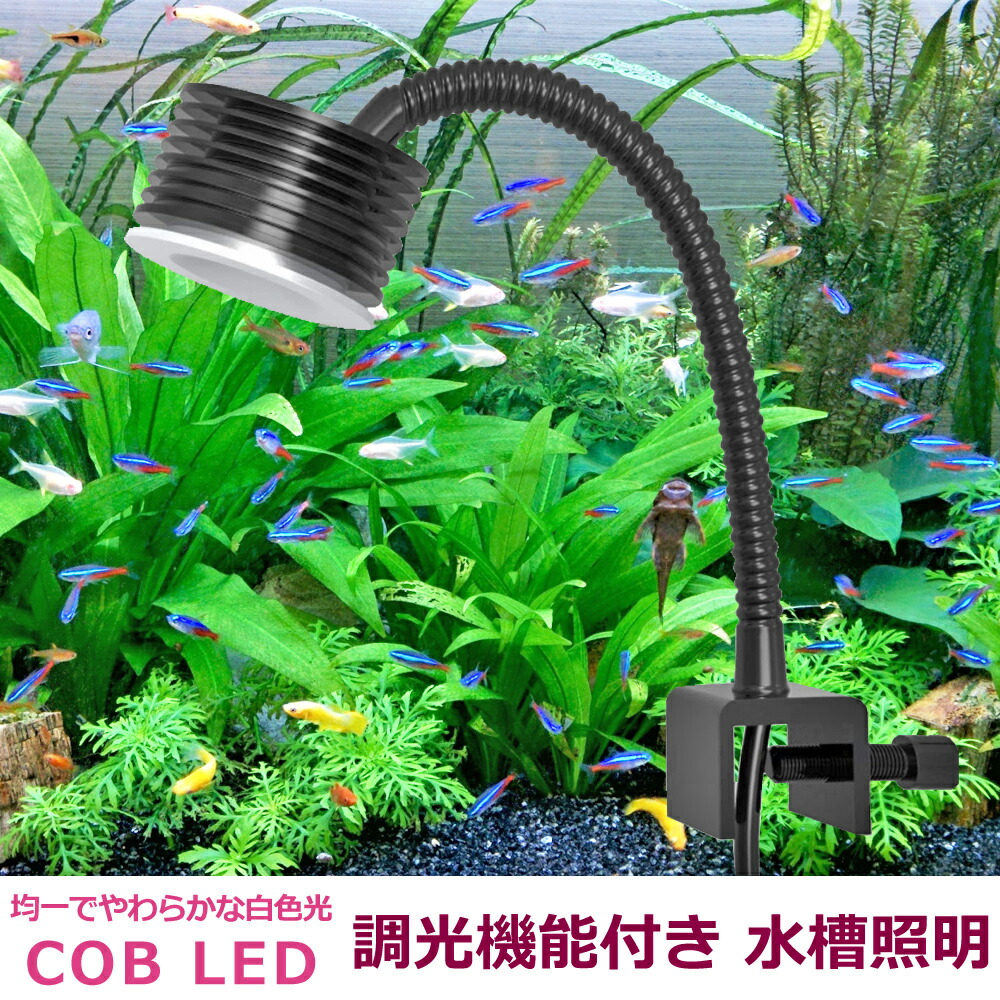 楽天市場 即日発送 水槽照明 調光機能付き 白色 アクアリウムライト Cob Led cm 45cm水槽用 観賞魚 サンゴ 水草 Wellvie Store