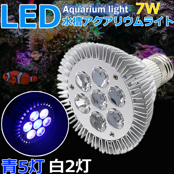 楽天市場 送料無料 アクアリウム ライト Led 水草 スポットライト 水槽照明 青5 白2灯 7w 植物育成 海水 アクアリウム用品 即日発送 Wellvie Store