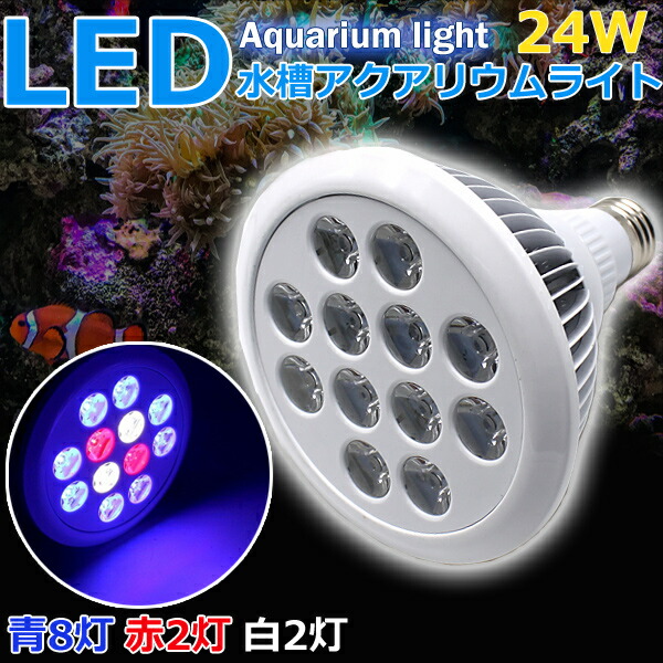 楽天市場 アクアリウム ライト Led 水草 スポットライト 水槽照明 青8 赤2 白2灯 24w 植物育成 海水 アクアリウム用品 即日発送 Wellvie Store