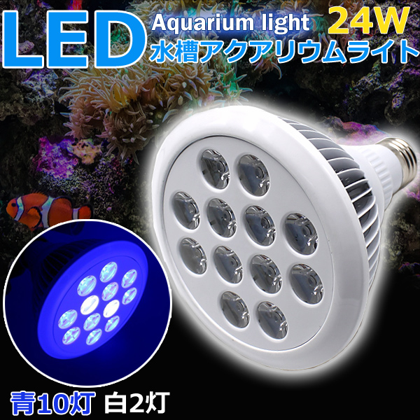 楽天市場 即日発送 アクアリウム ライト Led 水草 スポットライト 水槽照明 青10 白2 24w 水草 植物育成 海水 アクアリウム用品 Wellvie Store