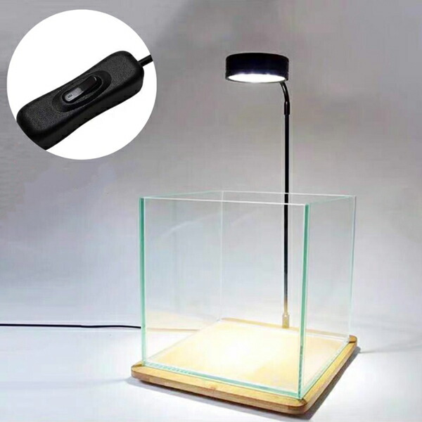 楽天市場 即日発送 金魚 水槽照明 15cm 水槽 アクアリウム Led アクアリウムライト 竹製ベース スタンド ライトスタンド 3w 小型 角度調節可能 水草 植物育成 熱帯魚 植物 観賞魚 金魚などの飼育 長寿命 省エネ 即日発送 送料無料 Wellvie Store