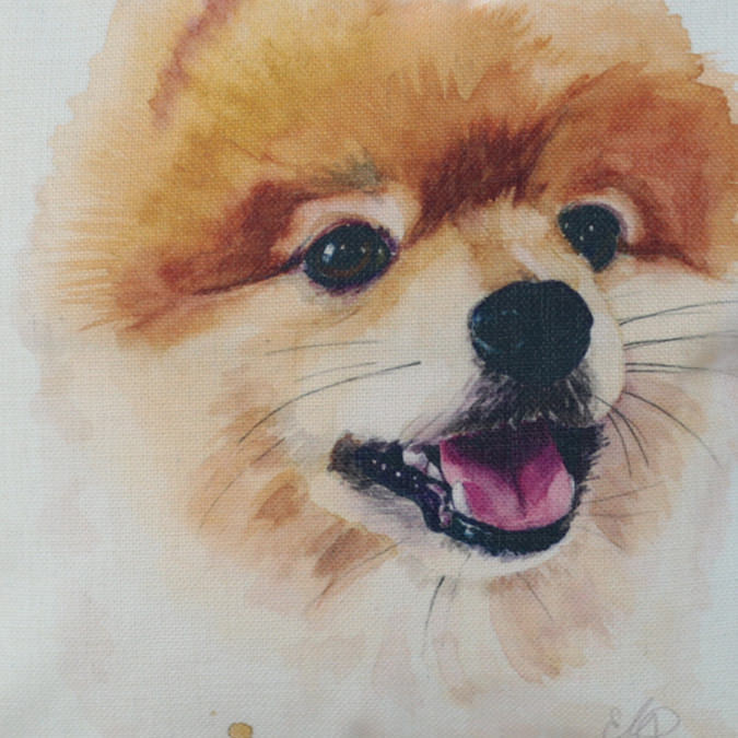 Handmade Pomeranian Print cushion cover