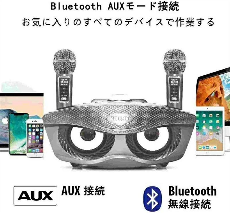 カラオケマイク スピーカーマイクセット サウンドカード 多機能 アップグレード ワイヤレスマイク ノイズキャンセリング機能 手持ちマイ