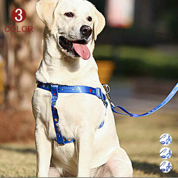 楽天市場】ハーネス リード セット 胴輪 首輪 犬用 中型犬 大型