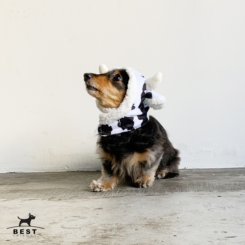 愛犬用かぶりもの 牛さんのスヌード かぶりもの 帽子 年賀状 干支 丑年 犬服 犬の服 犬 服 ドッグウェア 被り物 うし お正月 犬の服 ドッグウェア ベストフレンズ Jurisaxis Com