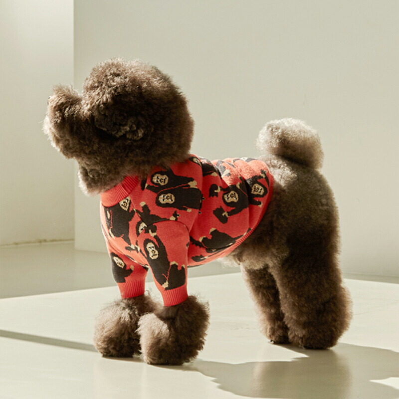 スーパーsale Andblank バッドキングコングニット Sm M L Xl Xxl 犬 服 犬の服 秋 冬 ニット ドッグウェア 海外ブランド おしゃれ キャラクター かわいい シンプル ゴリラ 犬の服 ドッグウェア ベストフレンズ Sermus Es