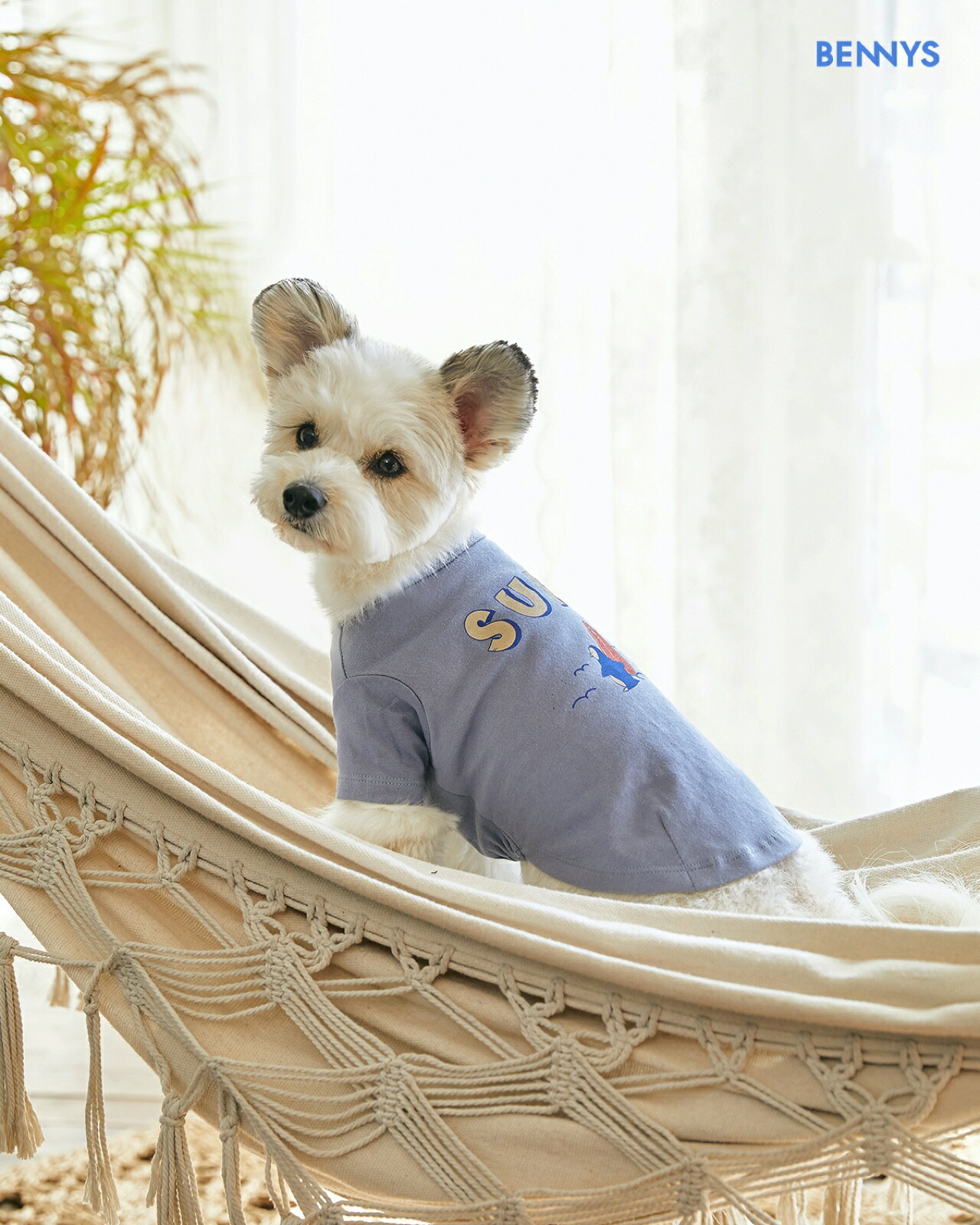 楽天市場 Bennys サーフtシャツ Sm M L Xl 犬 服 韓国 ブランド 人気 おしゃれ サーフ プリント コットン 綿 かわいい 犬 の服 ドッグウェア ベストフレンズ Best Friends ベストフレンズ