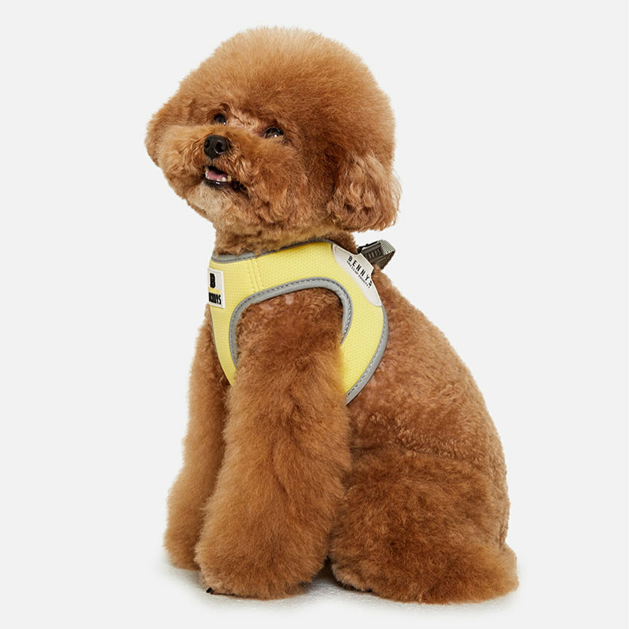 楽天市場 Bennys ベーシックハーネス S M L Xl 犬 服 韓国 ブランド 人気 おしゃれ 胴輪 犬 小型犬 ハーネス 散歩 ベスト型 調整 犬の服 ドッグウェア ベストフレンズ Best Friends ベストフレンズ