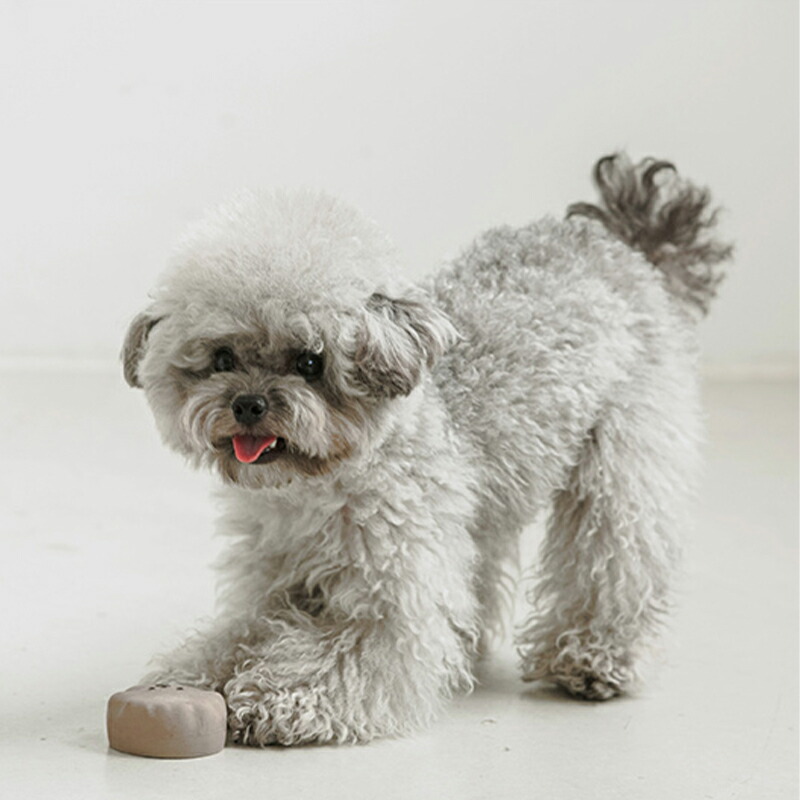 楽天市場 Bite Me バイトミー ラテックストイ 犬 おもちゃ 犬用おもちゃ 犬のおもちゃ 犬 ピーピー 音 かわいい おしゃれ 安心安全 天然ラテックス 韓国ブランド 犬の服 ドッグウェア ベストフレンズ Best Friends ベストフレンズ