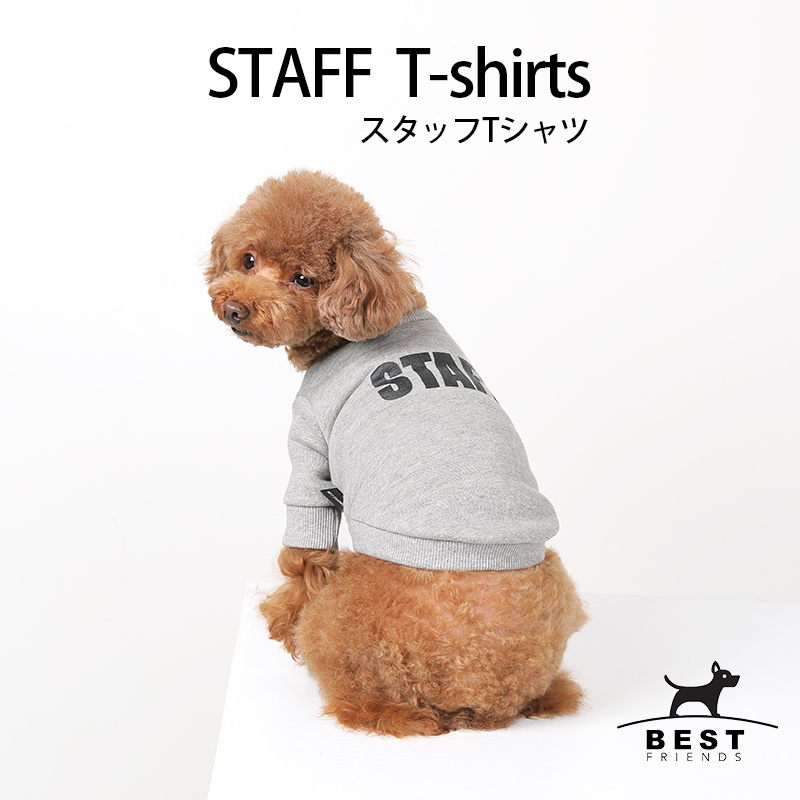 楽天市場 Staff Tシャツ S M L Xl 犬服 犬の服 ドッグウェア ベストフレンズ 犬 服 春 夏 かわいい Tシャツ 小型犬 コットン 綿100 看板犬 可愛い シンプル スタッフ Best Friends ベストフレンズ