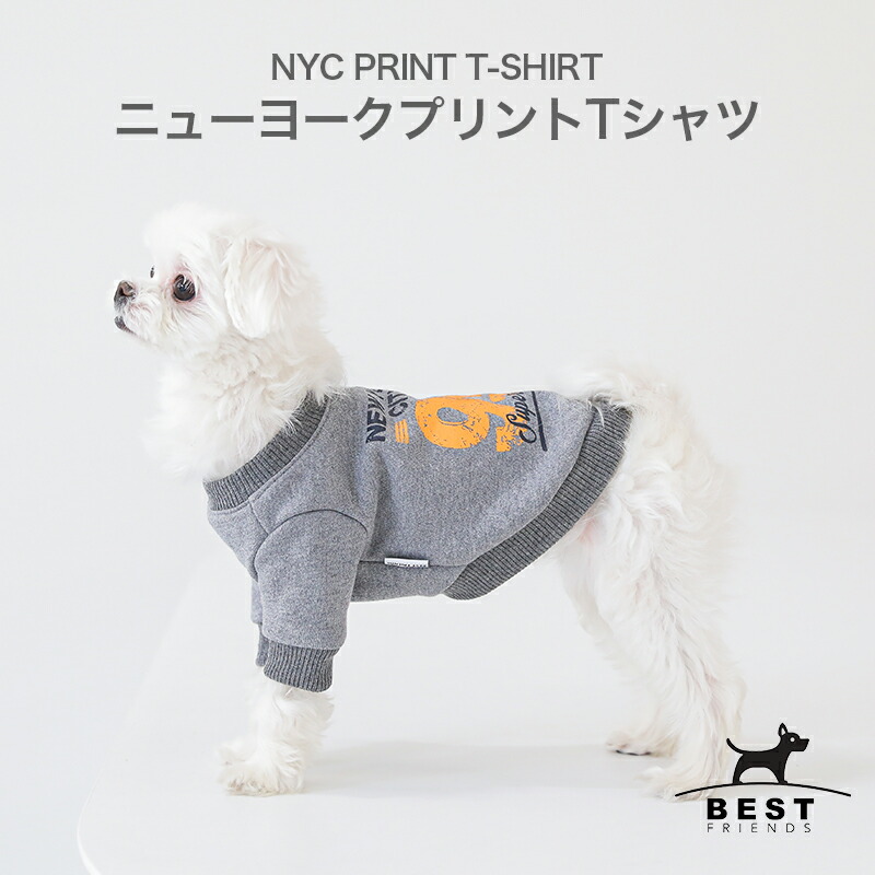 楽天市場 4月5日より順次発送 ニューヨークプリントtシャツ S M L Xl Xxl 犬 服 犬の服 ドッグウェア ベストフレンズ Tシャツ 春 服 かわいい おしゃれ コットン 綿 100 Nycプリント Best Friends ベストフレンズ