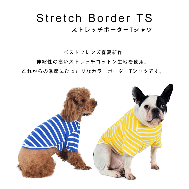 楽天市場 ストレッチボーダーts S M L Xl 犬服 犬の服 ドッグウェア ベストフレンズ 犬 服 春 夏 かわいい Tシャツ ボーダー 薄手 コットン 綿 生地 伸縮 伸びる シンプル Best Friends ベストフレンズ