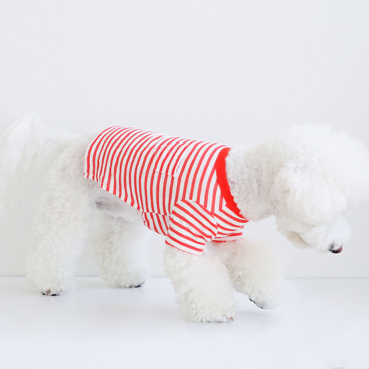 SayCheeseポケットボーダーTシャツ/S,M,L,XL【犬服春薄手ポケットボーダー薄手Tシャツ伸縮おしゃれシンプルかわいい人気男の子女の子】【犬の服ドッグウェアベストフレンズ】