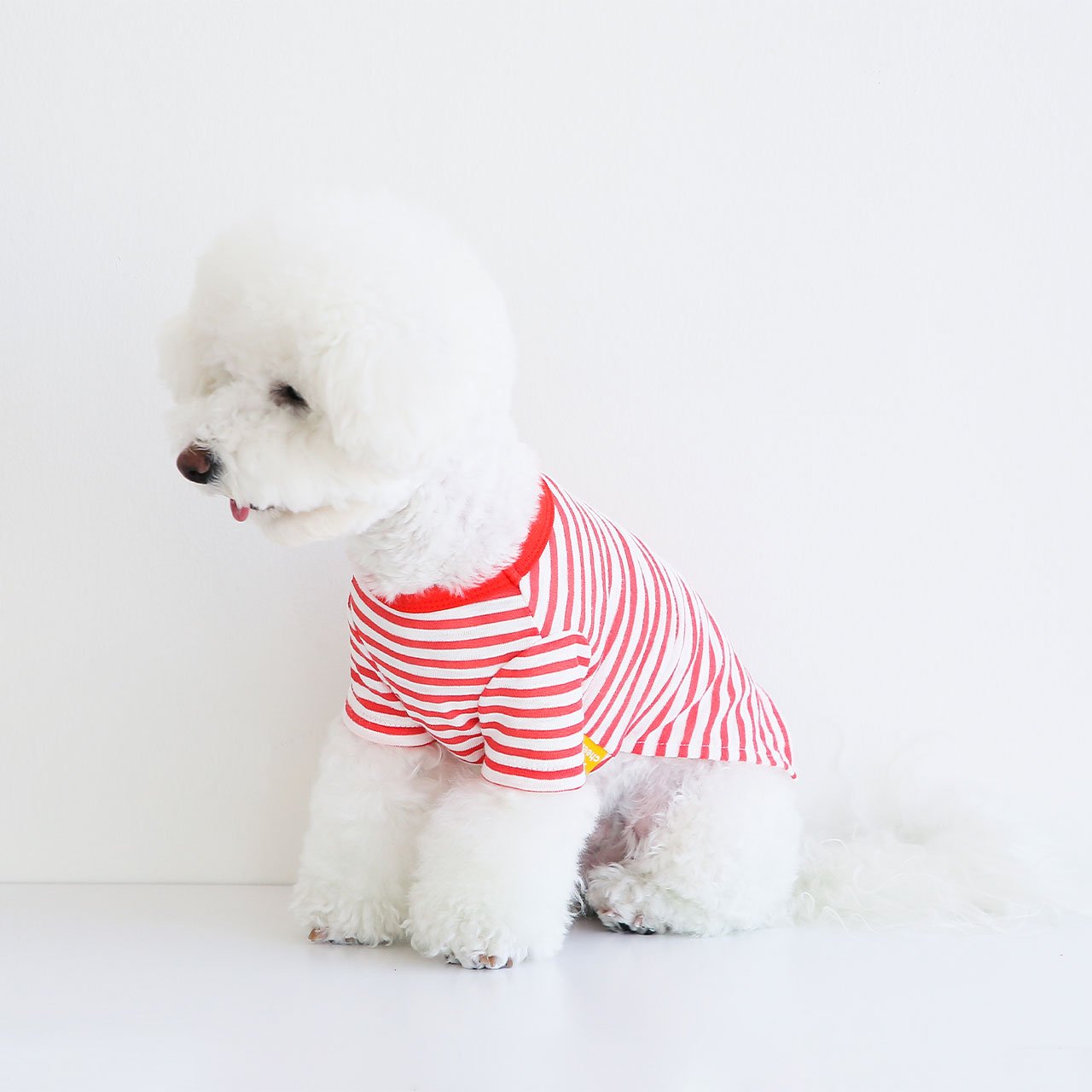 SayCheeseポケットボーダーTシャツ/S,M,L,XL【犬服春薄手ポケットボーダー薄手Tシャツ伸縮おしゃれシンプルかわいい人気男の子女の子】【犬の服ドッグウェアベストフレンズ】