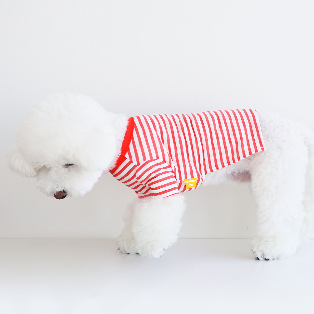 SayCheeseポケットボーダーTシャツ/S,M,L,XL【犬服春薄手ポケットボーダー薄手Tシャツ伸縮おしゃれシンプルかわいい人気男の子女の子】【犬の服ドッグウェアベストフレンズ】