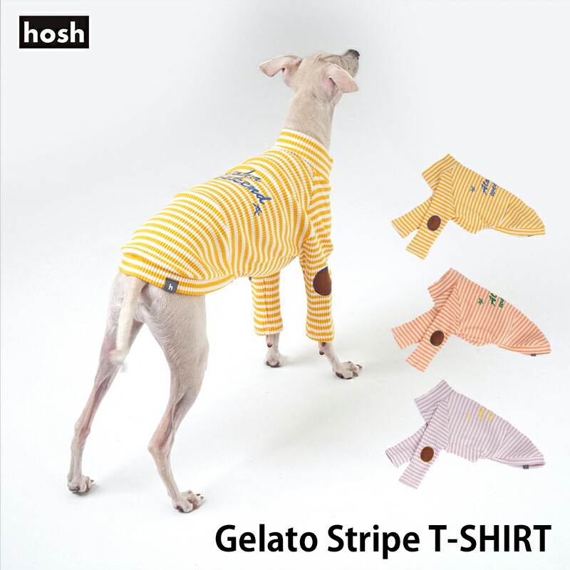 イタグレ専用 Hosh ジェラートストライプ Tシャツ S M L Xl Xxl 犬 服 イタグレ ドッグウェア 犬の服 海外 ブランド 春夏 おしゃれ 刺繍 パステル ゆったり 動きやすい イタリアングレーハウンド 犬の服 ドッグウェア ベストフレンズ Paigebird Com