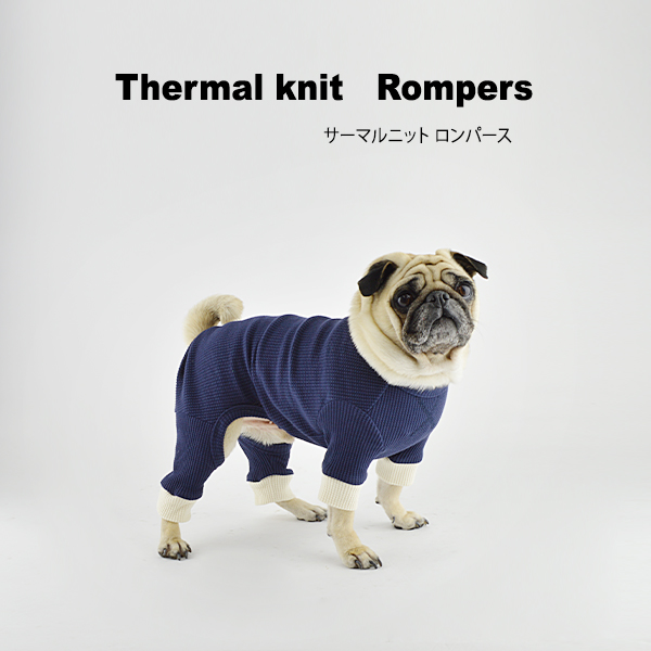 楽天市場 サーマルニット ロンパース S M L Xl 6color 犬服 犬の服 ドッグウェア 犬 服 小型犬 ニット 薄手 シンプル おしゃれ ロンパース 全身 Best Friends ベストフレンズ