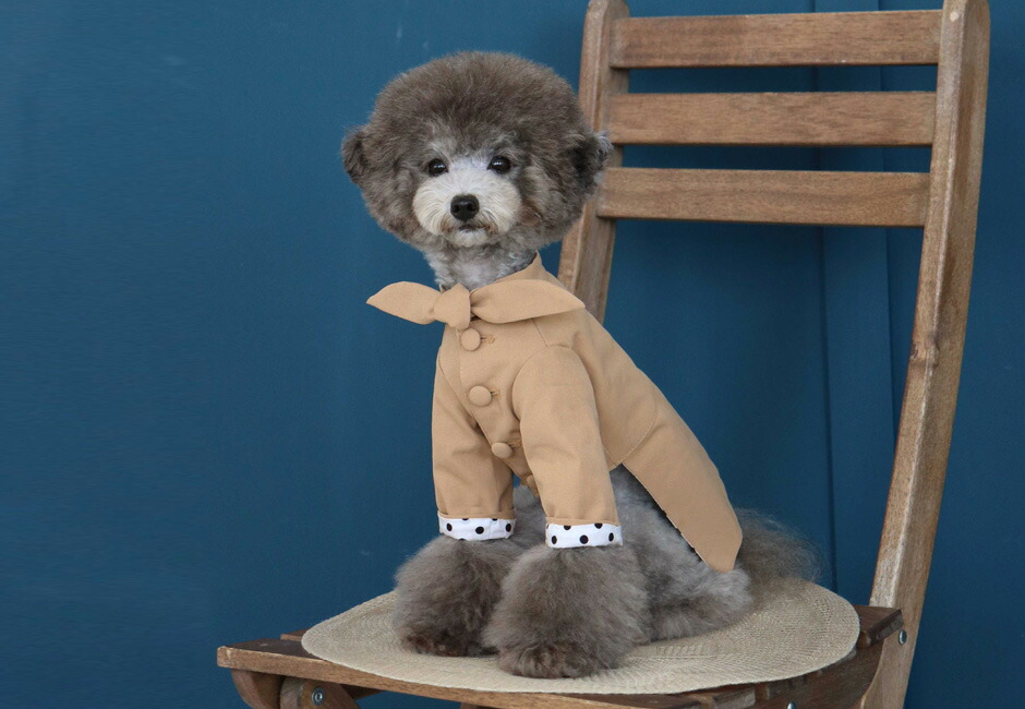 【楽天市場】【犬 服 秋冬】【TOTO&ROY】 ドット トレンチコート 3Color / S M L XL【犬 服 ダウン 犬の服 ドッグ